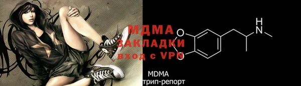 хмурый Арсеньев