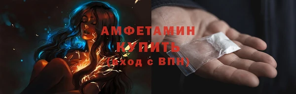 хмурый Арсеньев