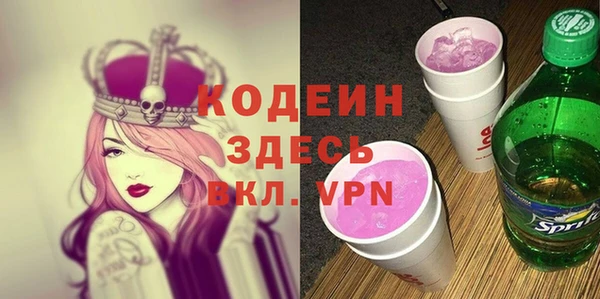 хмурый Арсеньев