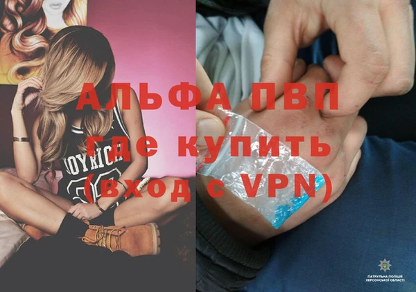 винт Аркадак