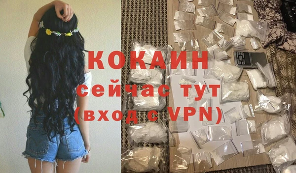 хмурый Арсеньев