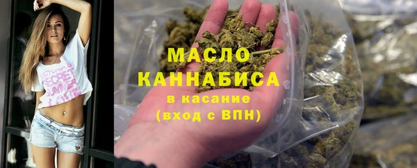 хмурый Арсеньев