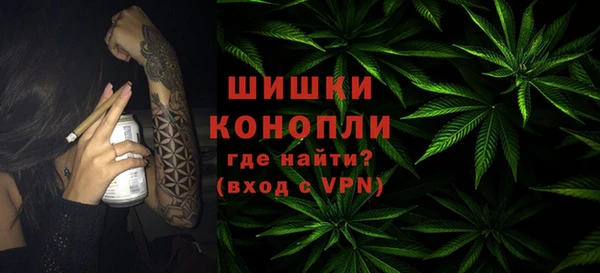 хмурый Арсеньев