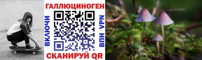 OMG маркетплейс  Ржев  Псилоцибиновые грибы мицелий 